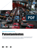 07 - Julio - Patentamiento