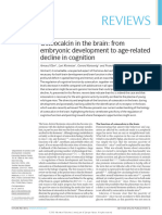 Osteocalcin in The Brain