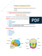Sistema Esqueletico