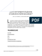 Seminario 4 Como Se Transport A La Glucosa A Traves de La Memb