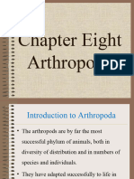 Arthropoda