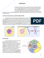 WORKBOOK - Cell Division