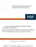 Líneas Jurisprudenciales Procesales de La Acción de Amparo Constitucional