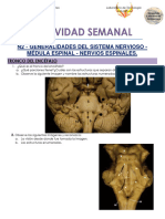 Actividad Semanal N2