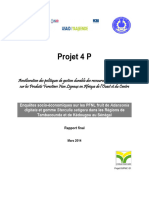 Projet 4 P