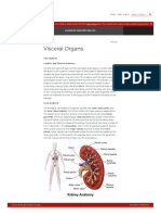 Pressbooks Bccampus Ca Advancedanatomy1sted Chapter Visceral Organs 2