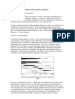 Evolución y Comportamiento de Las Manchas de Petróleo