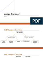 11 - Active Transport - 2020