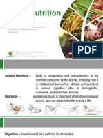 Animal Nutrition