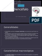 Diencéfalo - PPTX 20231017 105958 0000