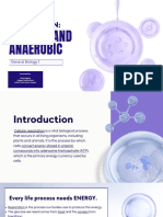 Cellular-Respiration-Group4-Genbio 20231205 011046 0000