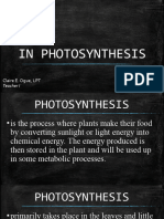 Plant Parts and Organelles Involved in Photosynthesis