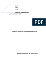 El Amparo en Derecho Procesal Administrativo