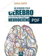 Uma Viagem Pelo Cerebro A Via Rapida Par