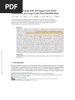 Transfer Learning With Self-Supervised Vision Transformer For Large-Scale Plant Identification