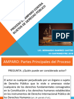 Proceso de Amparo