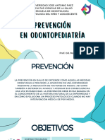 Tema 5 - Prevencion.