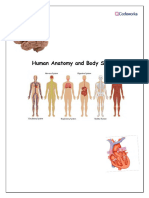 Anatomy Handbook-Codeworks