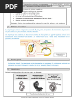 Cours Engrenage Denture Droite