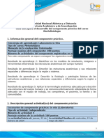 Guía para El Desarrollo Del Componente Práctico-Con Observaciones