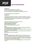 Anatomía Tercer Parcial