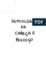 P1 Ci Cabeça e Pescoço