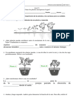 Guía N°1 Cómo Las Plantas Incorporan El Agua - Nivel 1