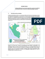 5 Informe Estudio Plantas Medicinales de Uso Durante La Gestación (2017)