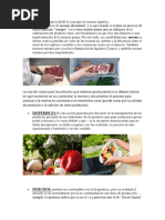 PDF Documento