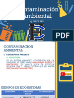 Contaminación Ambiental