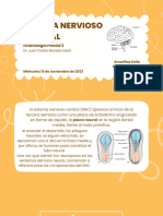 Sistema Nervioso Central