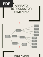 Aparato Reproductor Femenino 1