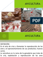 AVICULTURA Presentación