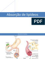 Aula 7 - Beta Oxidacao