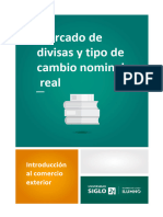 Mercado de Divisas y Tipo de Cambio Nominal y Real