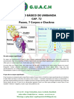 Cap 72 Curso de Umbanda Básica - Passes - 7 Passes