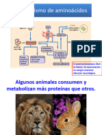 Metabolismo Del Nitrógeno de Los Aminoácidos - Clases de Bioquimica