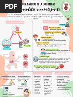 Historia Natural de La Enfermedad (Enterocolitis Necrotizante)