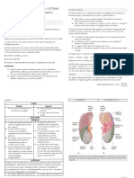 Renal y Reproductor Anato, Clase 5