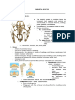 Skeletal System