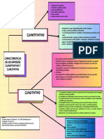 Esquema - Caracteristicas Del Enfoque Cuantitativo y Cualitativo