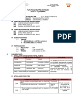 Programación Anual Vi Ciclo 2024 True