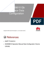 11-OWB600206 SGSN9810 GB Interface Data Configuration ISSUE1.0