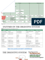 Unit D - Digestive System and Digestive System Problems