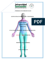 Dermatomas