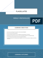 4.1 Pathogenic Flagellates