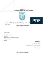 Mycology Report