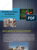 Animales en Peligro de Extincion