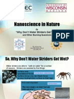 Nanoscience in Nature: "Why Don't Water Striders Get Wet?"