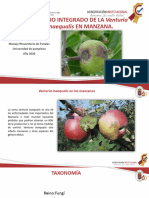 Manejo Integrado de La Venturia Inaequalis en Manzana